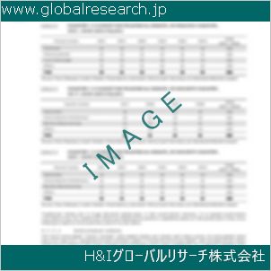 グローバルリサーチ調査資料のイメージ
